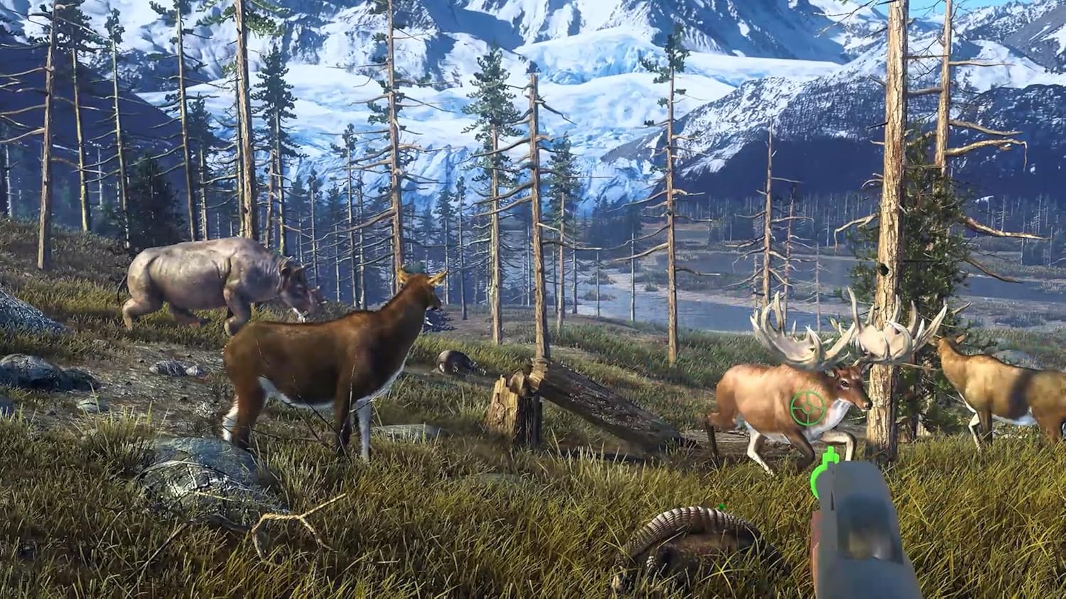 Big Buck Hunter Ultimate Trophy - Image 3