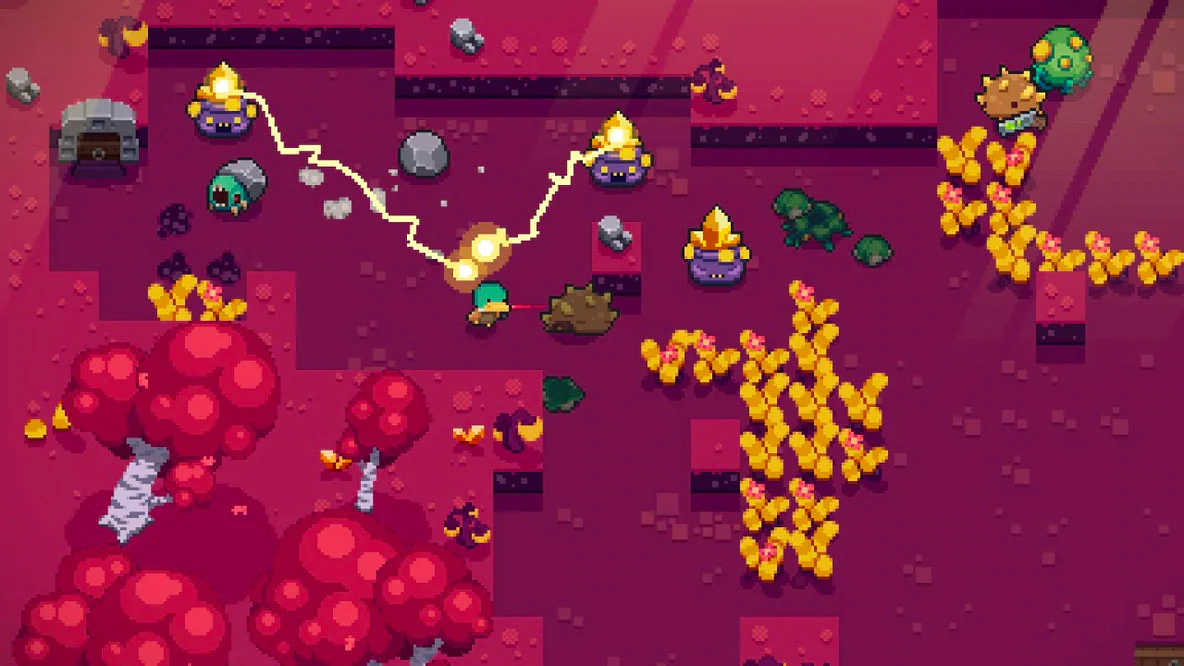 Blazing Beaks (Import) - Image 4