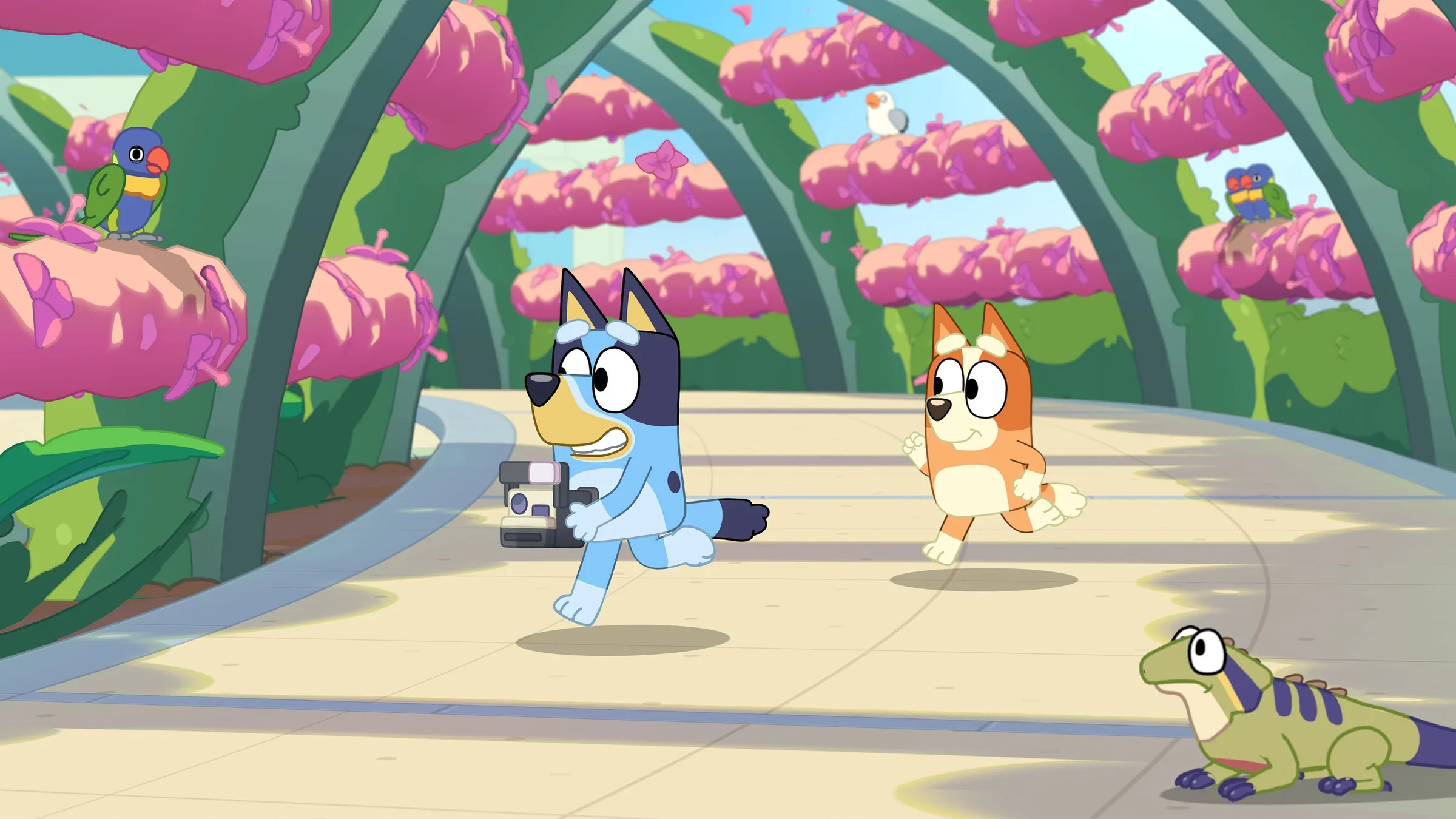 Bluey's Happy Snaps - Image 2