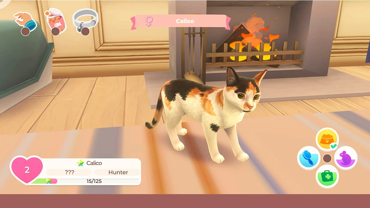 Cat Rescue Story - Image 3