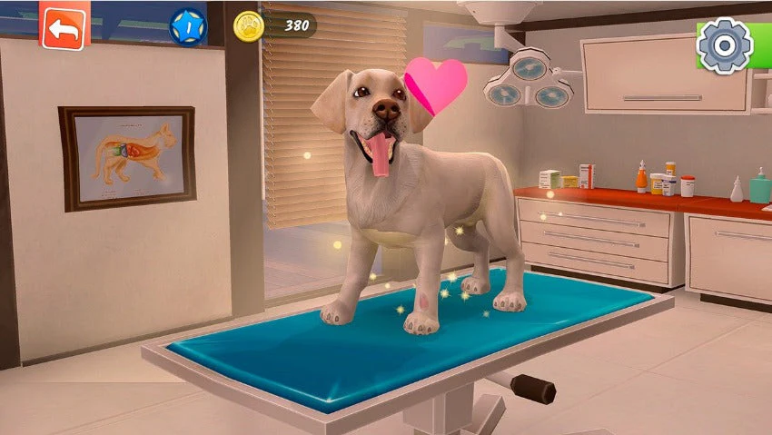 Animal Hospital - Image 4