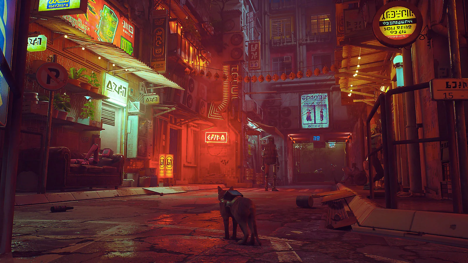 Stray - Image 3
