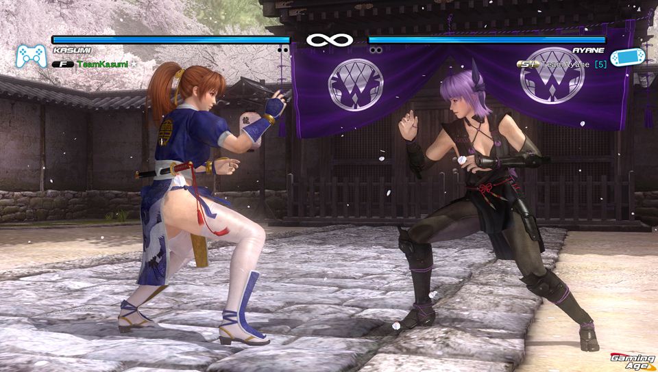 Dead or Alive 5 Plus (Cartridge Only) - Image 3