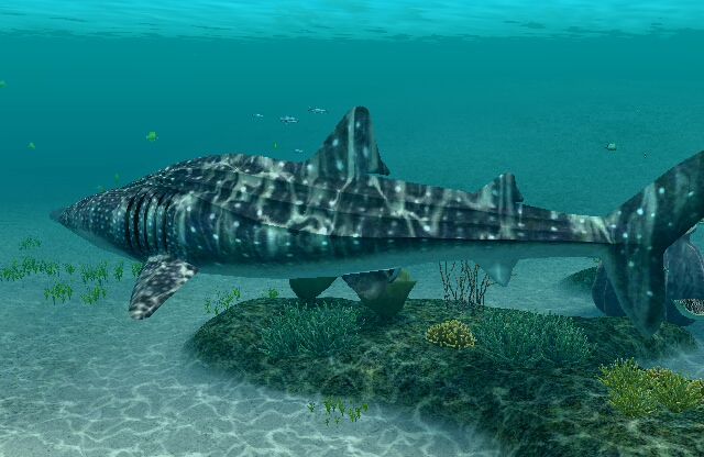 Endless Ocean: Blue World (Pre-Owned) - Image 3