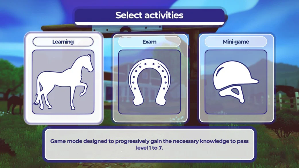 Equestrian Training - Image 2