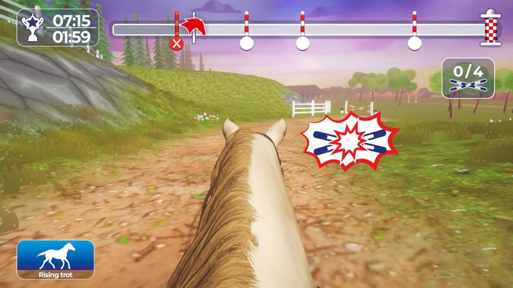 Equestrian Training - Image 4