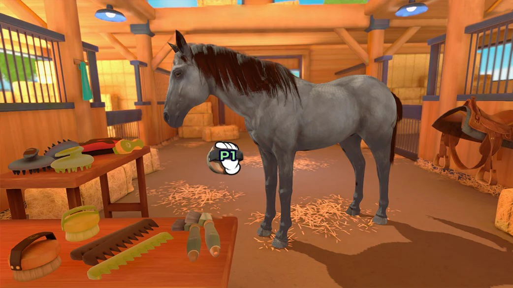 Equestrian Training - Image 5