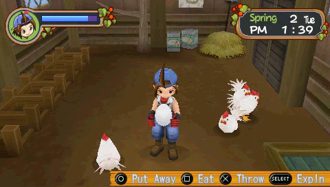 Harvest Moon: Hero of Leaf Valley (Pre-Owned) - Image 4