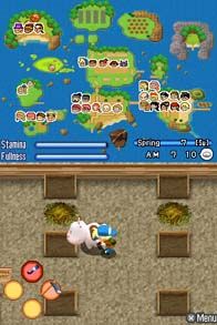 Harvest Moon: Sunshine Islands (Pre-Owned) - Image 5