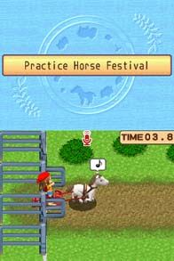 Harvest Moon: Sunshine Islands (Pre-Owned) - Image 6