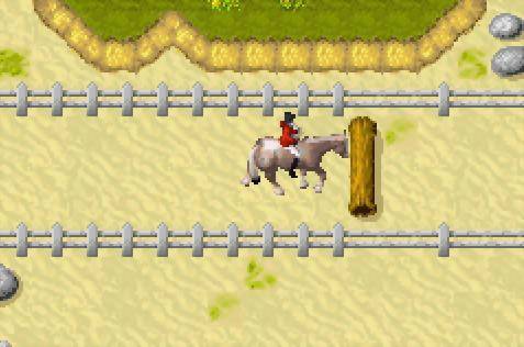 Horsez (Cartridge Only) - Image 4