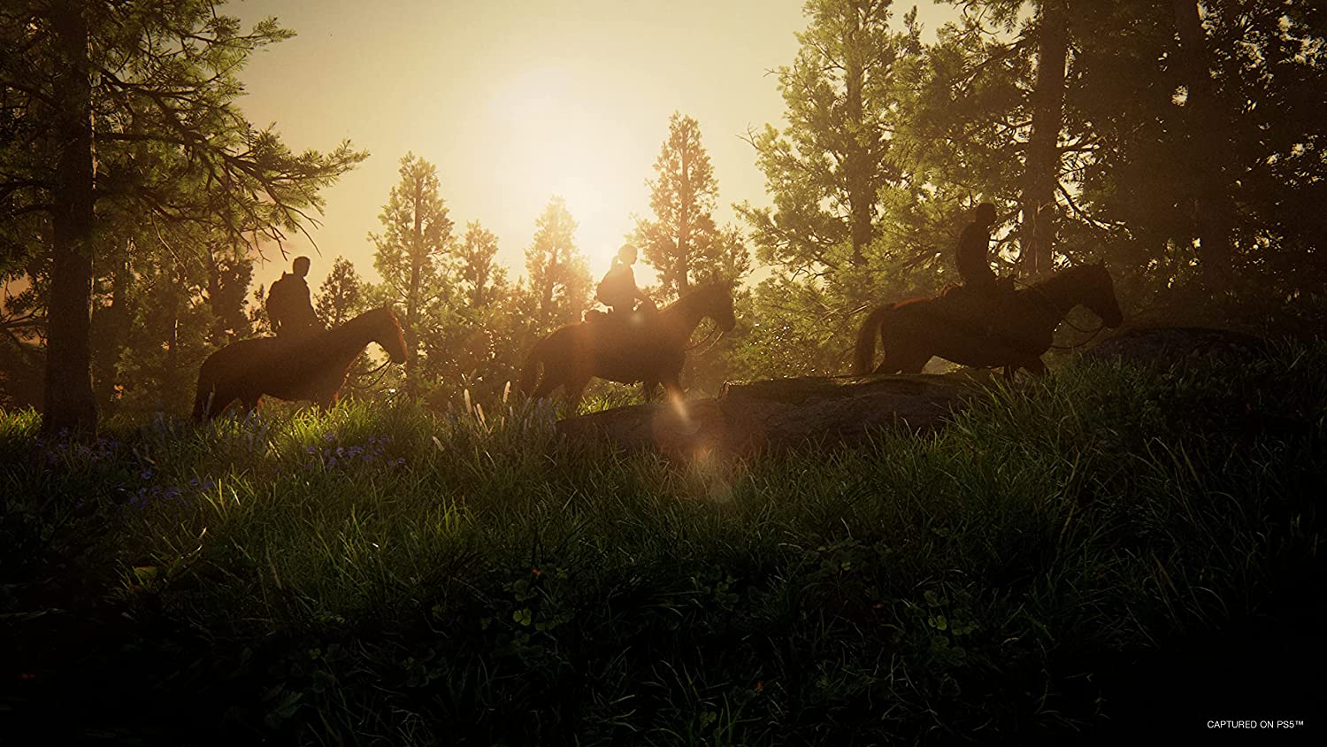 The Last of Us Part I - Image 3