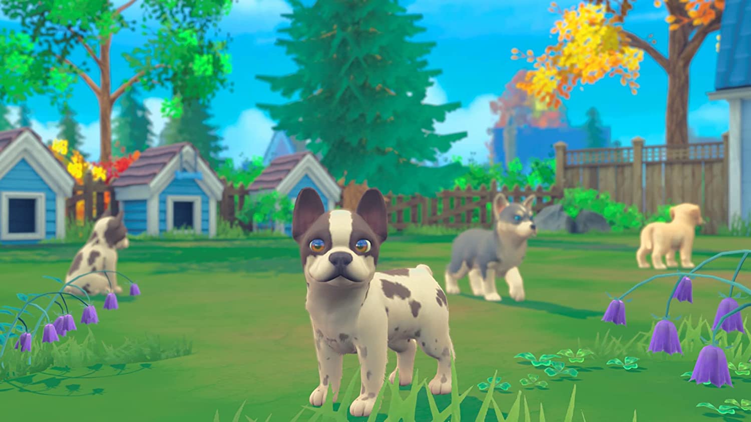 My Universe: Puppies and Kittens - Image 3