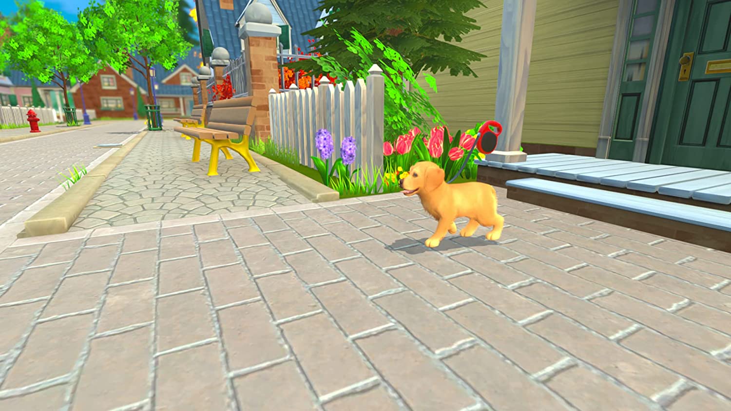 My Universe: Puppies and Kittens - Image 4