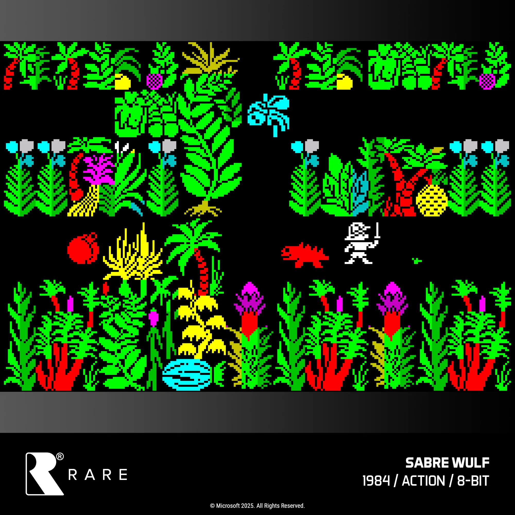 Rare Collection 1 - Image 14