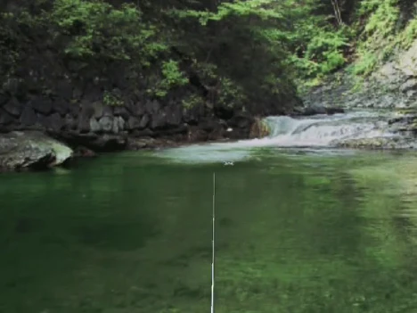 Reel Fishing Wild (Pre-Owned) - Image 3