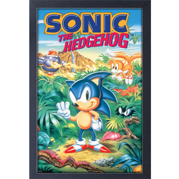 Sonic the Hedgehog 3 Genesis Game Cover 11" x 17" Framed Print