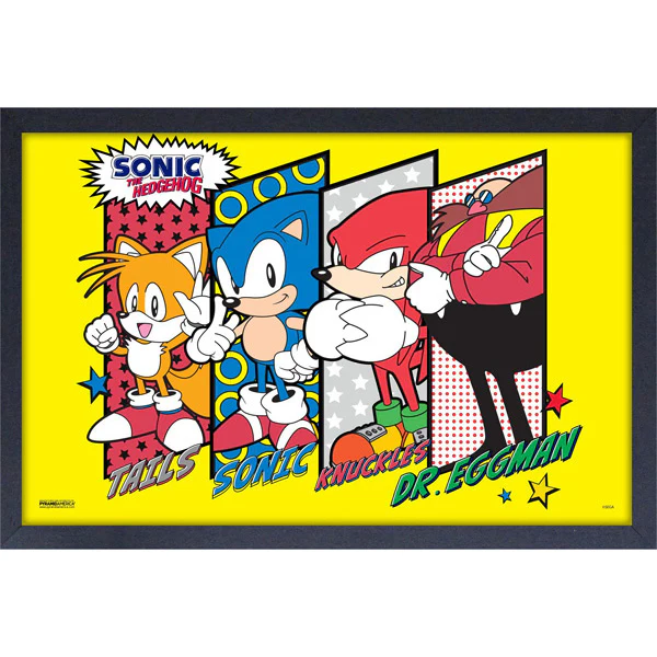 Sonic the Hedgehog Character Lineup 11" x 17" Framed Print