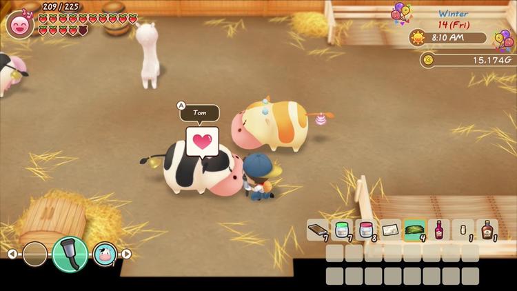Story of Seasons Friends of Mineral Town - Image 2