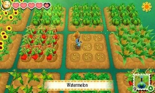Story of Seasons (Pre-Owned) - Image 2