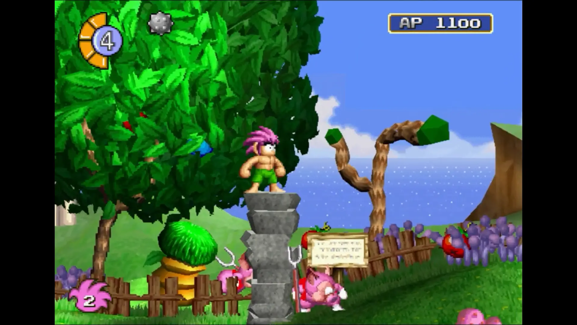 Tomba! Special Edition (Limited Run) - Image 5