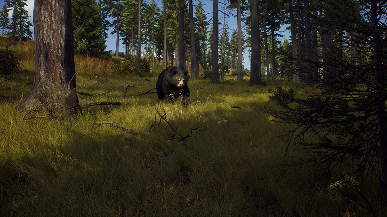 Way of the Hunter - Image 3